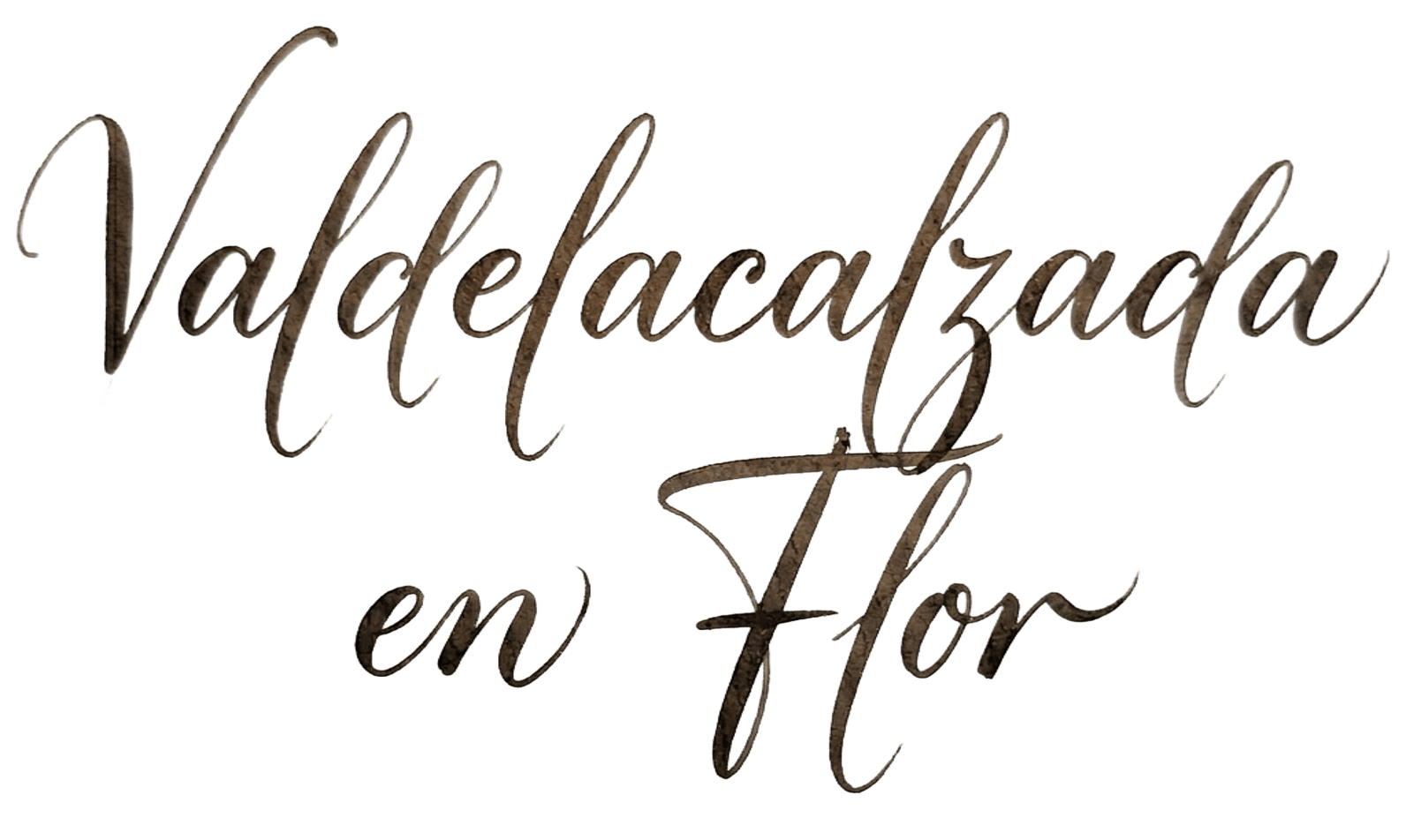 valdelacalzada_en_flor_estilus